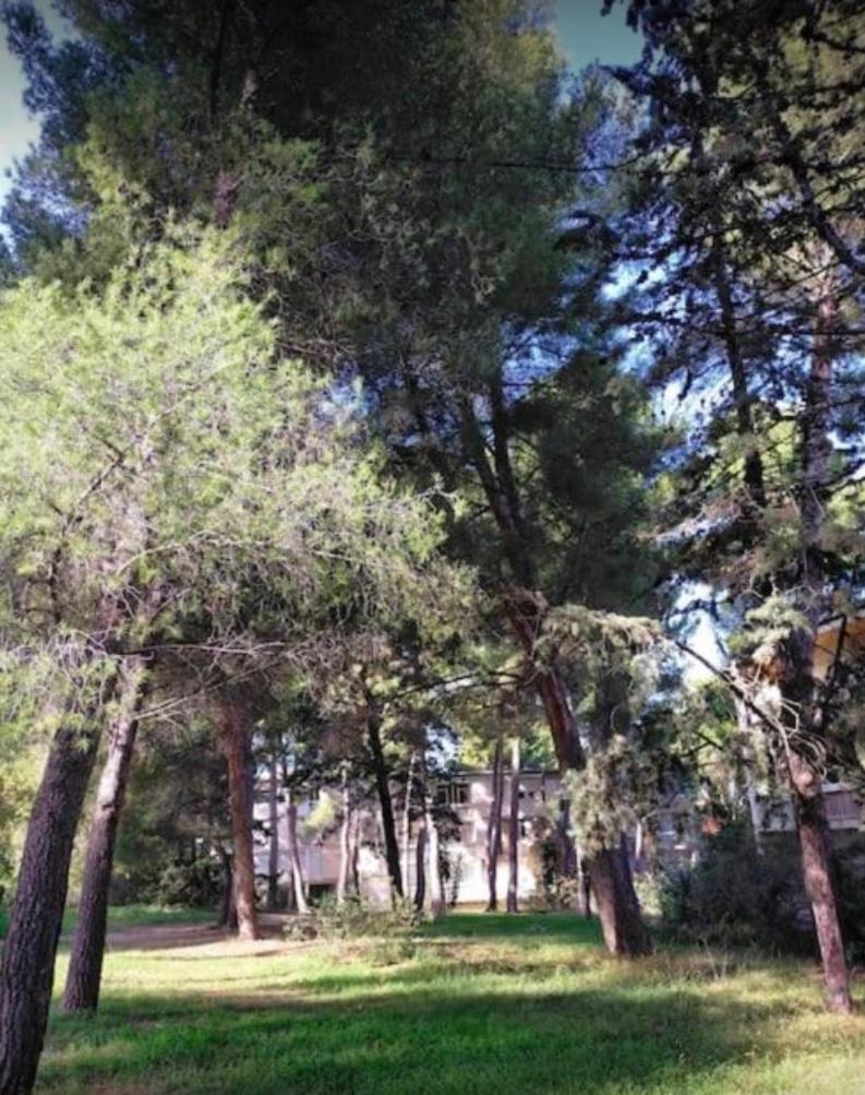 Studio Marseille Calanques Exteriör bild