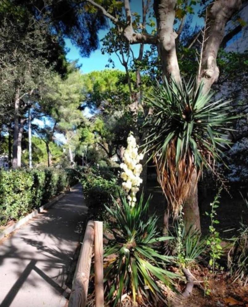 Studio Marseille Calanques Exteriör bild